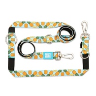 Max & Molly - Trela Multi "Sweet Pineapple"