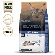 Bravery - Herring Senior Cat