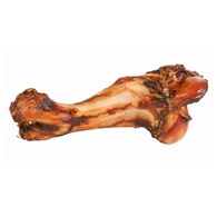 Osso Jurássico Fumado 30 cm