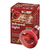 Hobby - Lâmpada Para Terrário "Infrared Eco" 28W