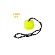Bola "Julius K-9" Fluorescente Com Corda