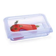 Tartarugueira "Atlantis"