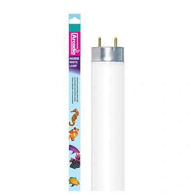 Lâmpada Fluorescente "Marine White" T8