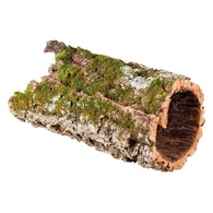 Decoração Para Terrário - Túnel De Cortiça