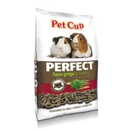 Pet Cup Porquinho da India Perfect