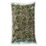 Girassol Raiado Limpo