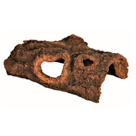 Tronco Cavernoso