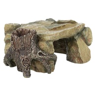 Plataforma Rochosa Com Tronco