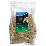 Ervas E Fenos Para Tartarugas Terrestres Juvenis