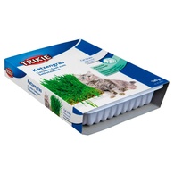 Tabuleiro de Erva Gateira - 100g